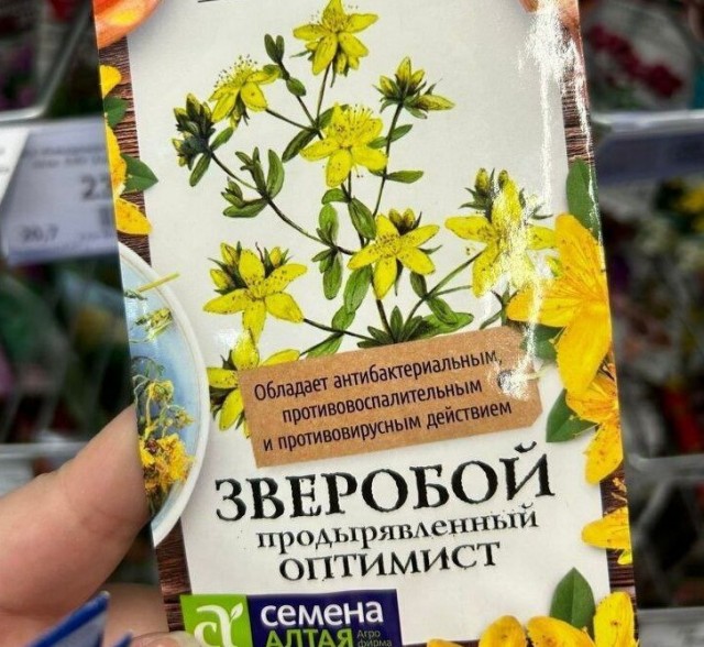 Слив лютых картинок