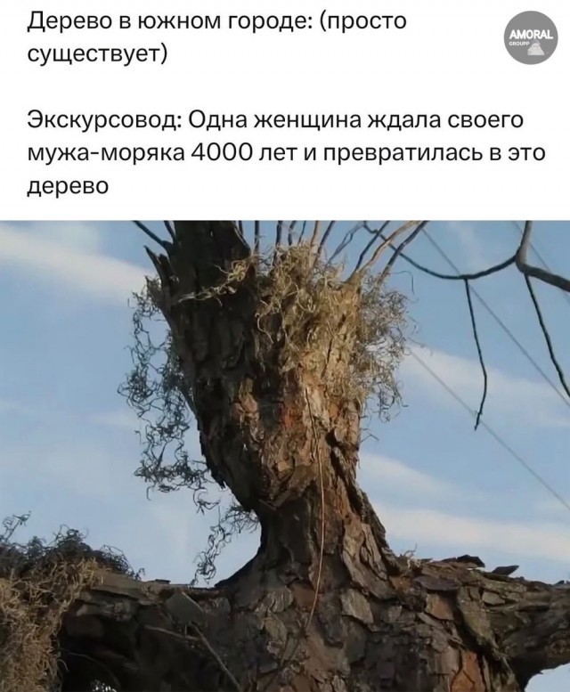 Быстрая деградация