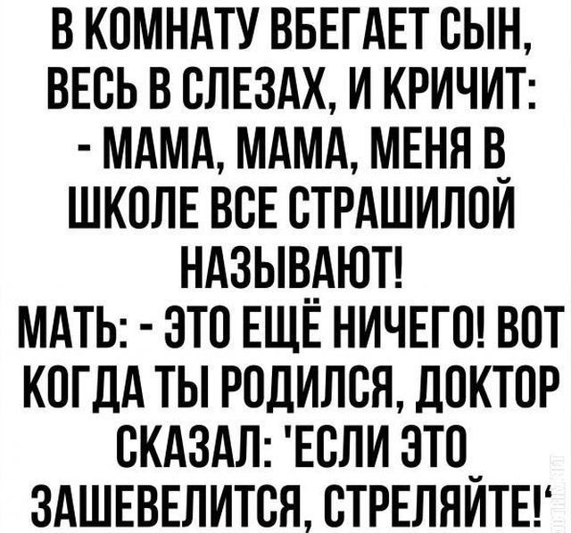 Немного забавных картинок от 22.12.24