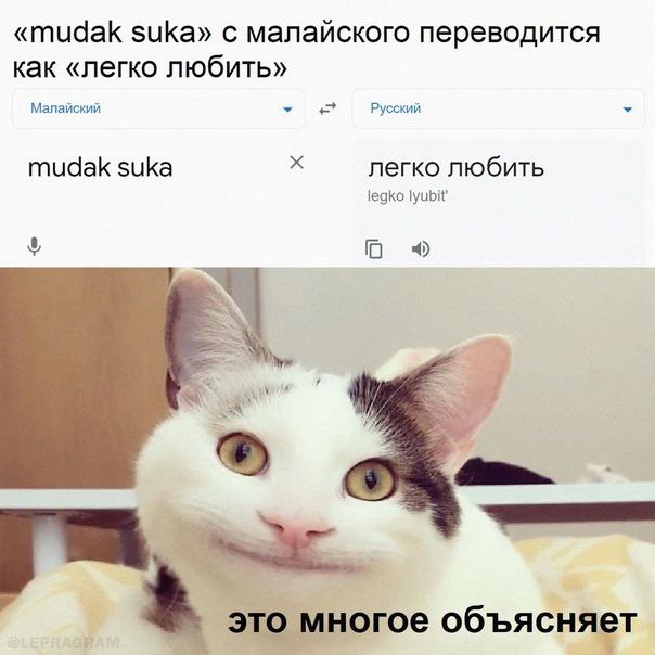 Картинок ублюдских несколько