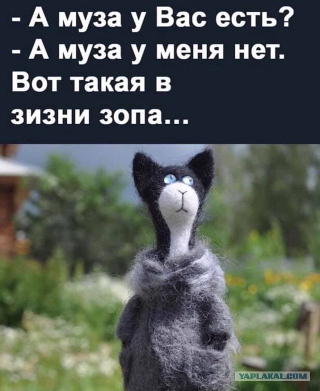 Развратили детей, и пихаете им первый кусок