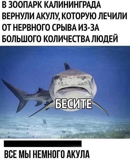 Прикольные и просто красивые картинки 06.06.2025