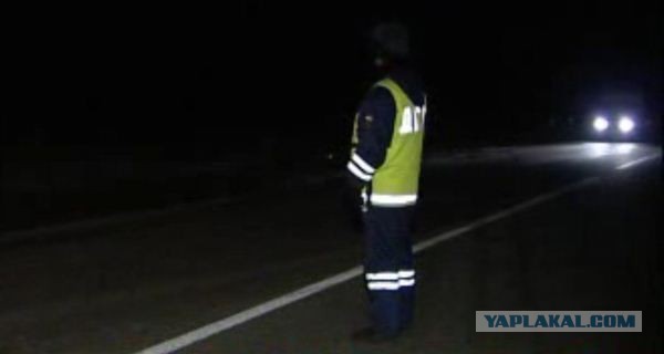 Фотографии светлячков на длинной выдержке