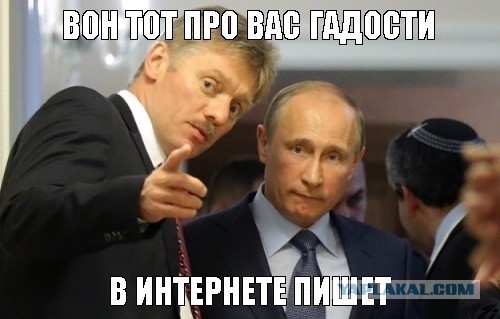 Мы не хотим, чтобы с Путиным что-либо произошло