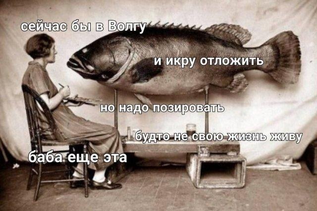 Картинки для деградации 130 (разной степени свежести)