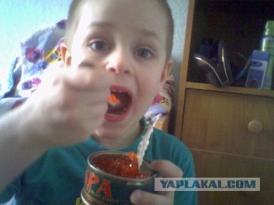 Дикие фото из социальных сетей