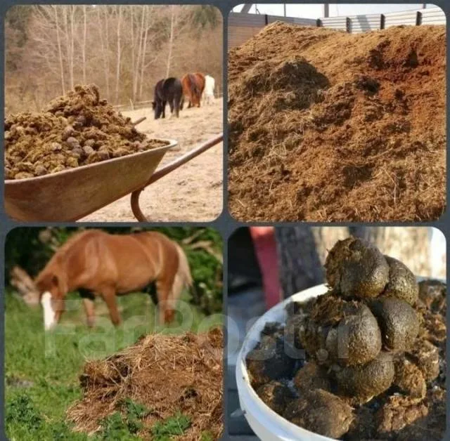 Верните мой 1999