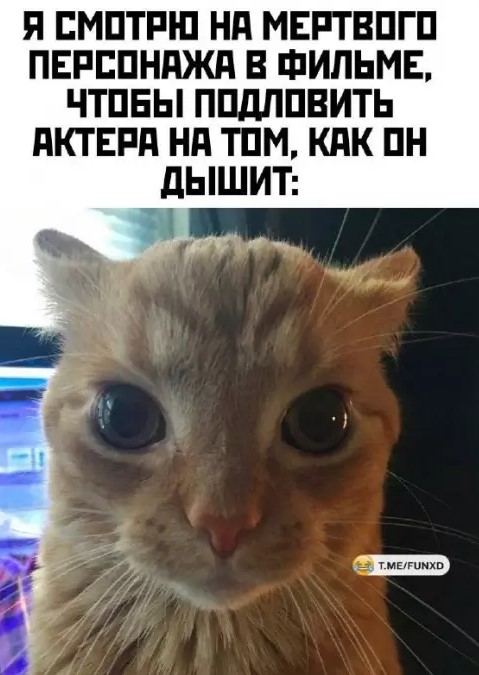 Пакет брать будете?