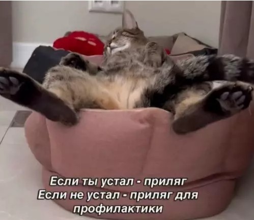 Картиночки, баянчики 01 апреля