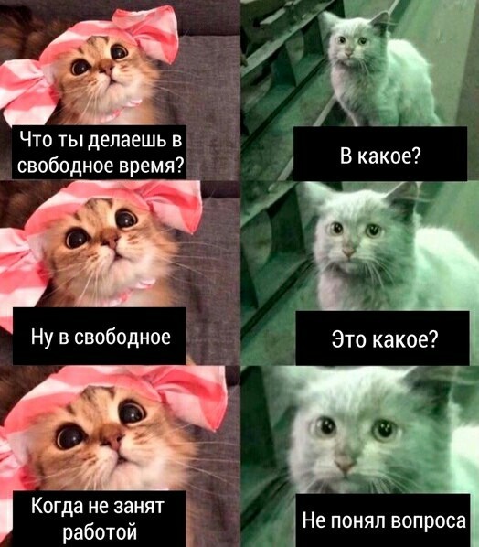 Картиночки, баянчики 24 апреля