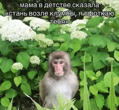 Картиночки, баянчики 26 апреля