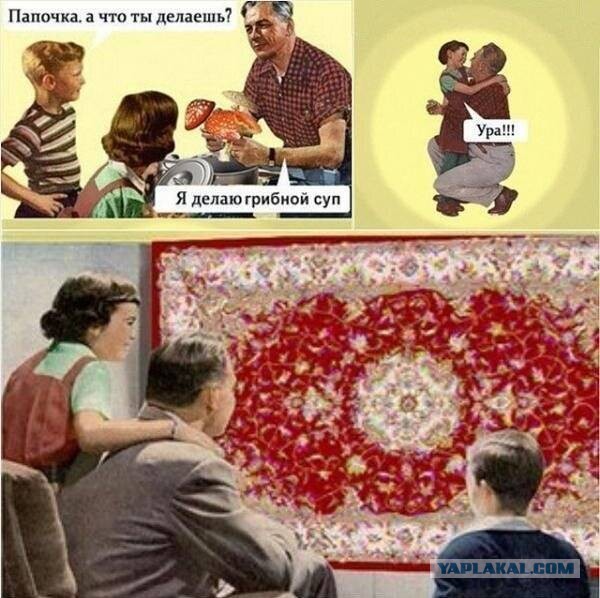 Кто настоящий хозяин Земли. И это отнюдь не пришельцы или рептилоиды.
