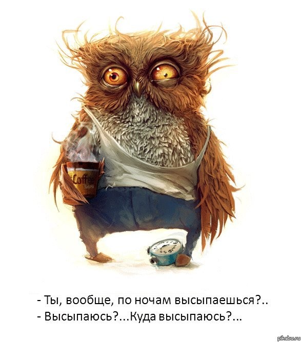 Любетелям бодровствования