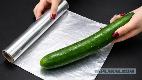Факт дня: кошки испытывают отвращение к алюминиевой фольге
