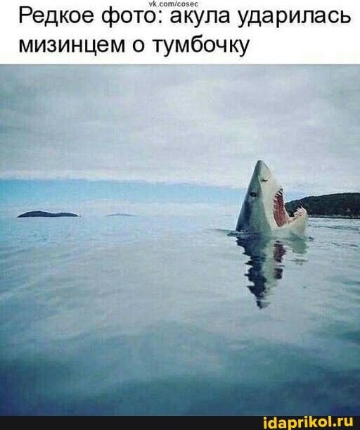 Веселые картинки в понедельник (21.09)