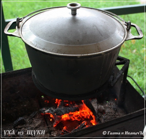 Кулинарная общалка