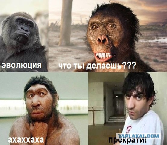 Визуализируем свои ники!