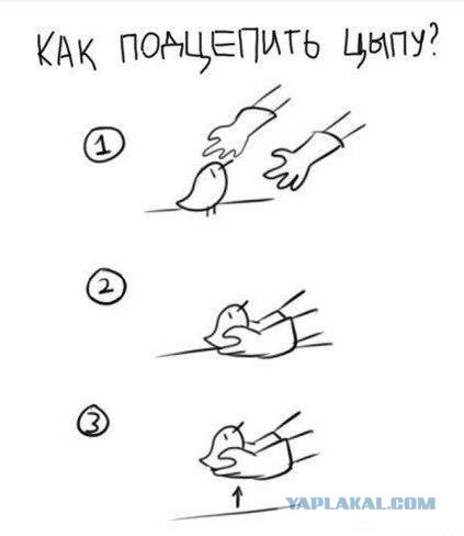 Любителям хитросплетений русского языка