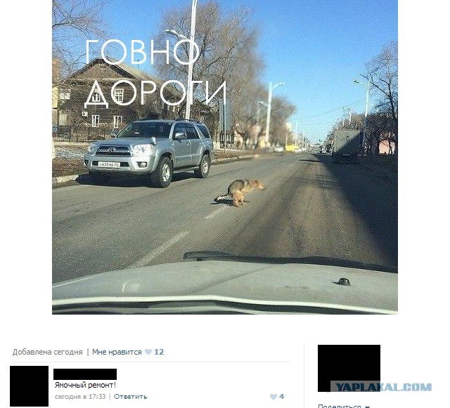 Позитивные картинки