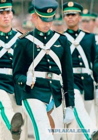 Так оденут полицейских