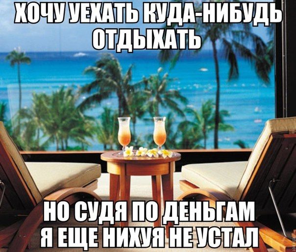 Смешные картинки с подписями