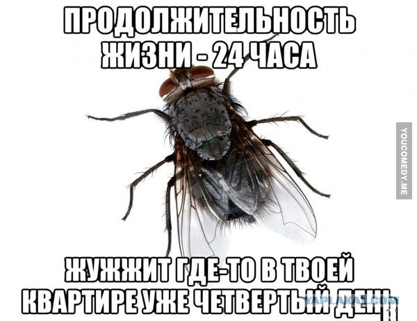 Поднимаем настроение