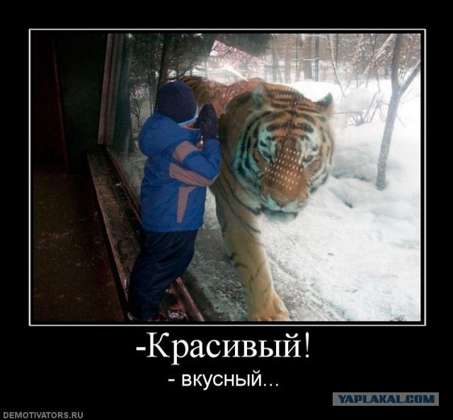 Подборка картинок
