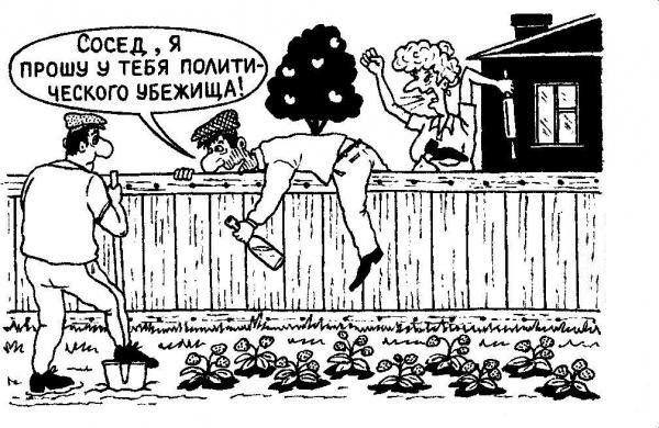 Тёща приехала!