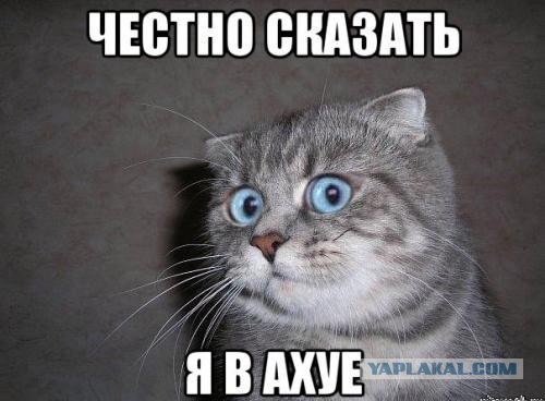 Вегетарианцам понравится -2.