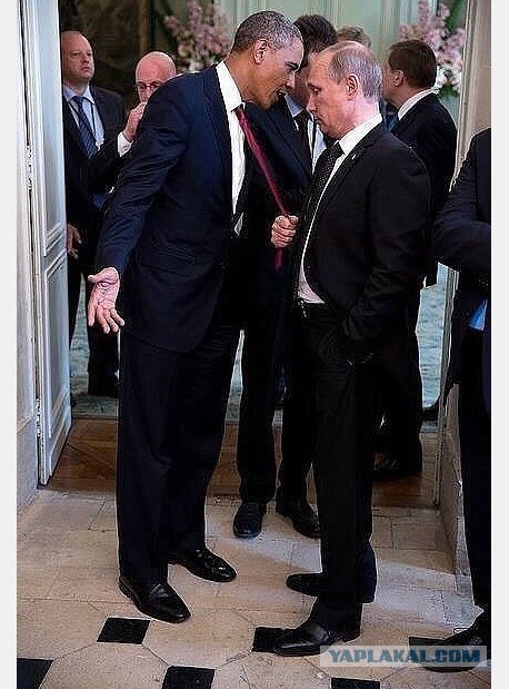 Прямая трансляция из ООН