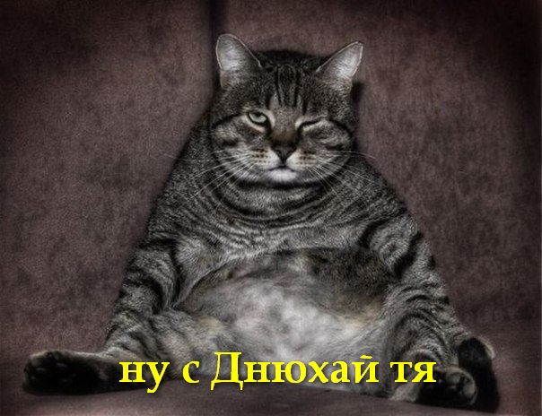 Wargaming 29