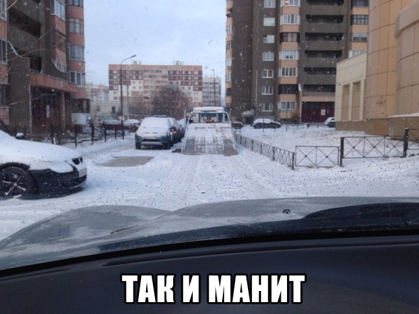 Забавные картинки из Сети