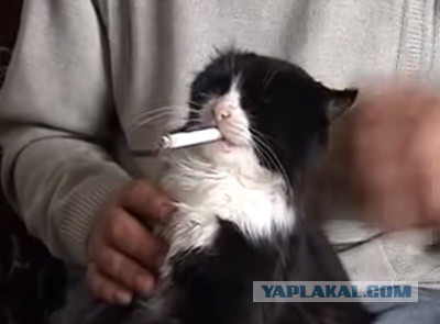 Опасный район