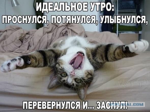 Спим в неожиданных местах и позах