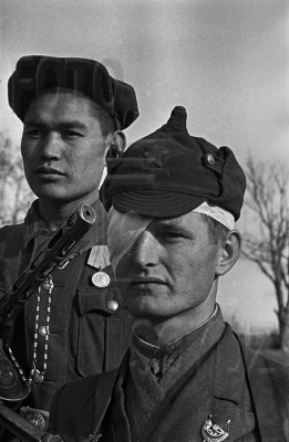 Завалили трупами