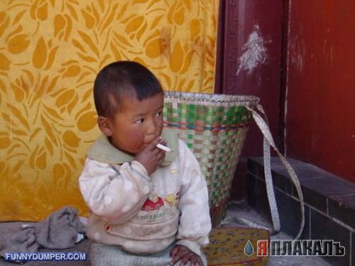 ДЕТИ. Прикольные дети, карапузы, малыши