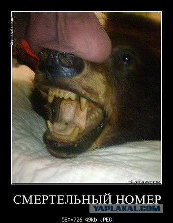 Демотиваторы на пятницу!
