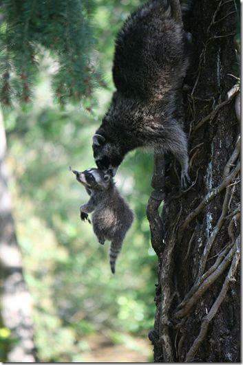 Картинки из сети (07.04.16)