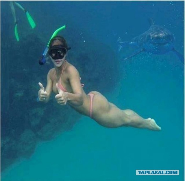 Интересные и веселые картинки