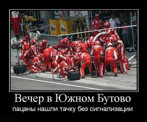 Порция картинок из сети