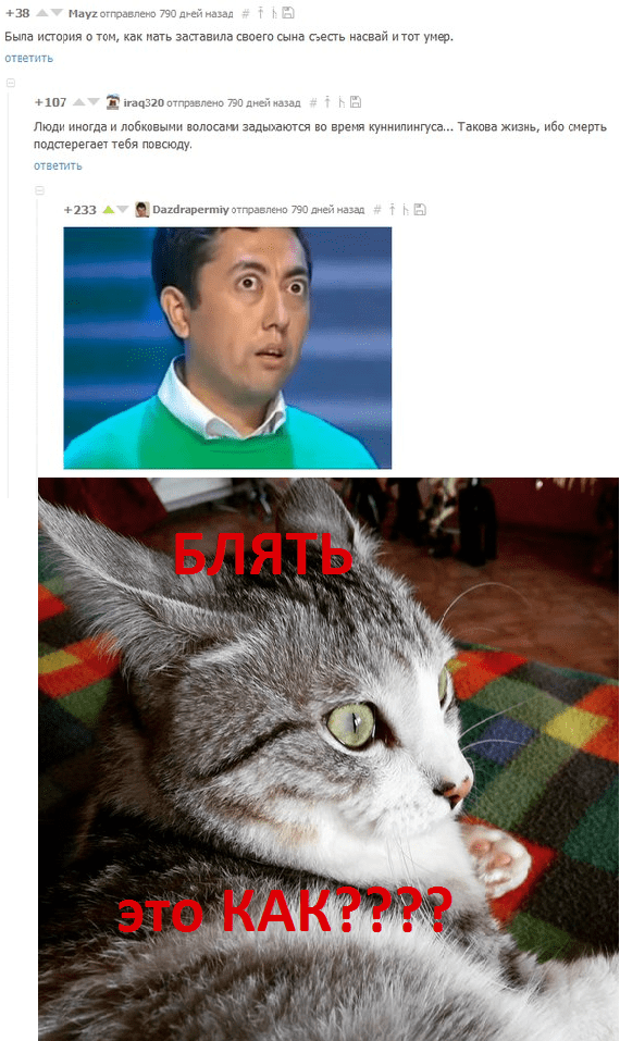 Смешные комментарии из социальных сетей 16.09.2016