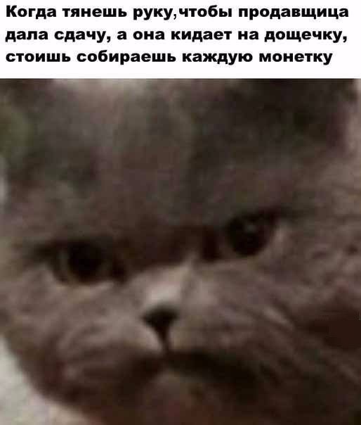Смотри приколы и тупей
