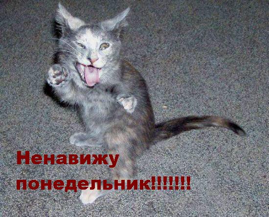 Смешные картинки