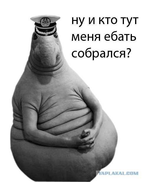Круиз для любителей "погорячее" стартует из Барселоны в апреле 2018 года