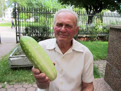 БМВ и огурцы