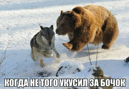 Странности & баяны