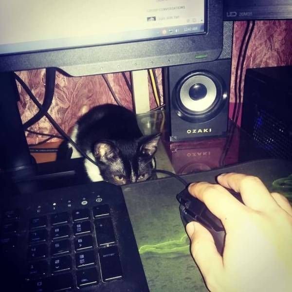 Подборка интересных и веселых картинок
