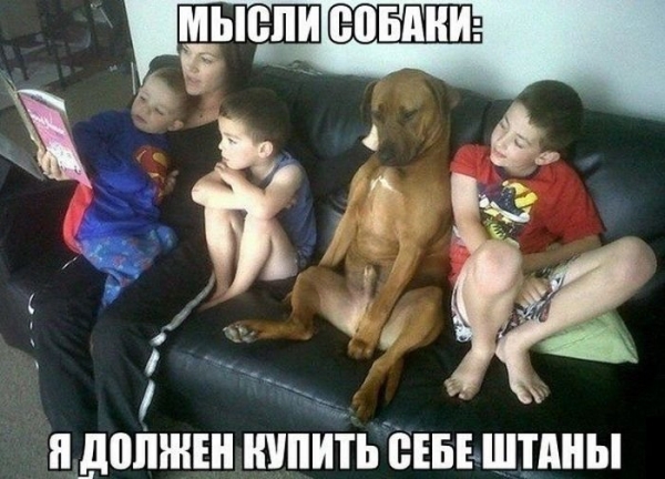 Подборка интересных и веселых картинок
