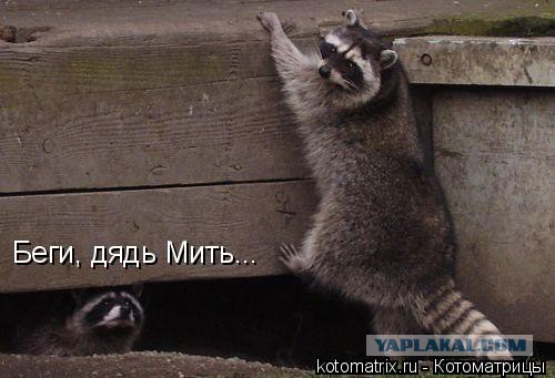 "А я будто е@у дряблый рукав пиджака"(с)