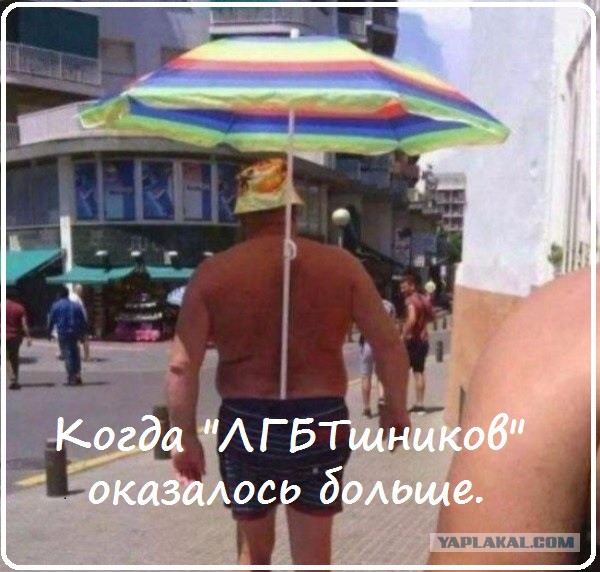 Немного фото для поднятия настроения
